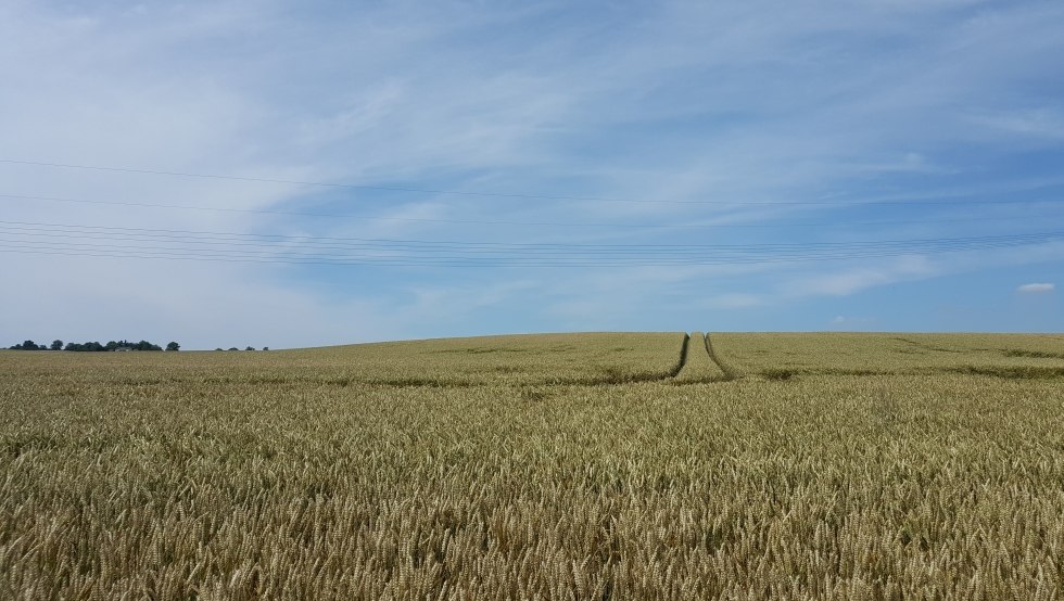 Paths to the horizon, © TMV/UB