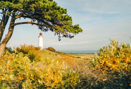 A postcard motif par excellence: the Dornbusch lighthouse is the landmark of the island of Hiddensee., © TMV/Petermann