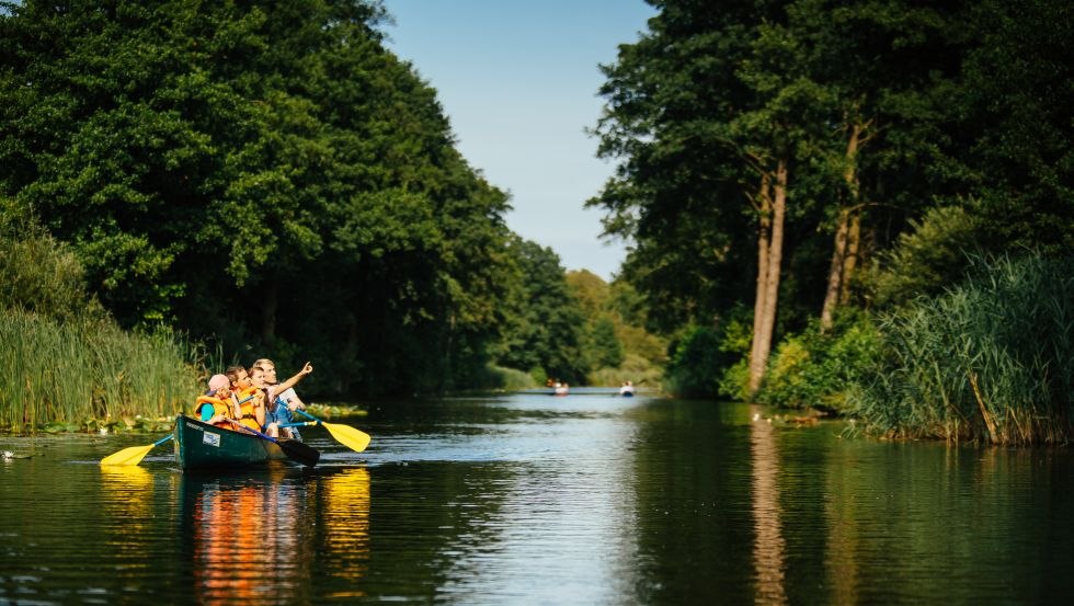 It pays to look closely: rare animal and plant species can be observed in the Müritz National Park, © TMV/Roth