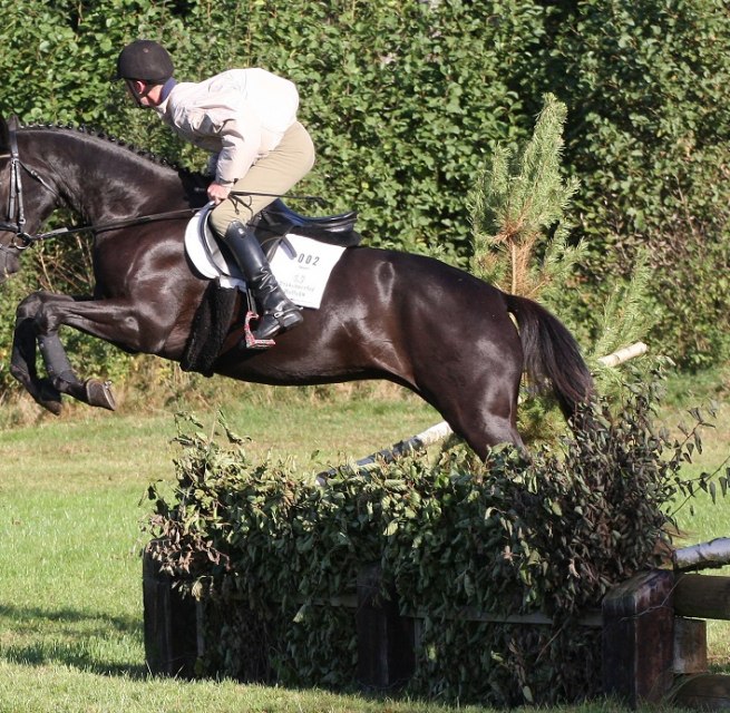 Erlkönig in the terrain, © Trakehnerhof Valluhn