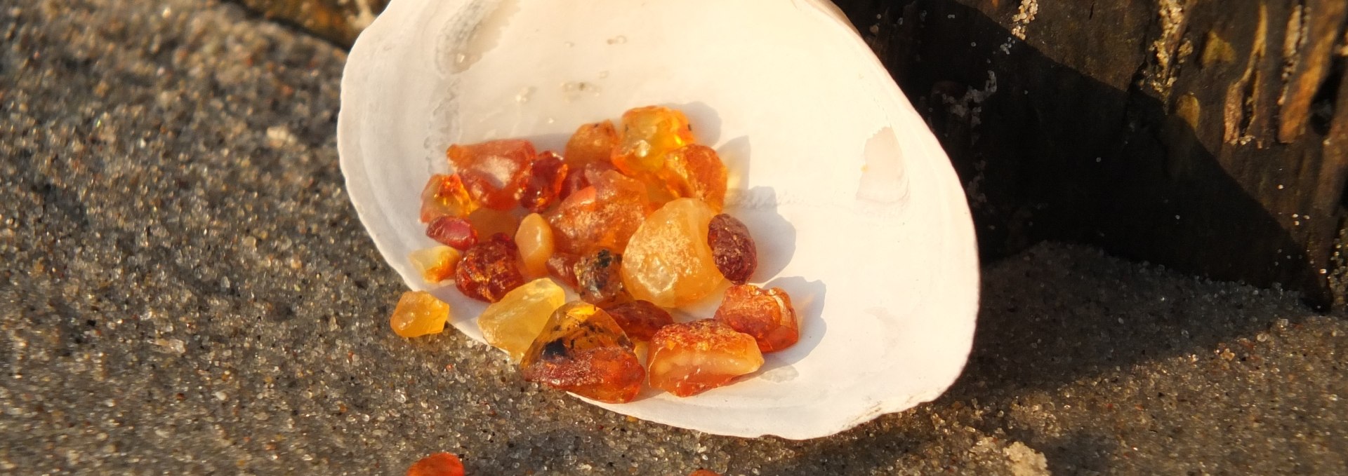 Small amber finds also delight the heart, © Martin Hagemann
