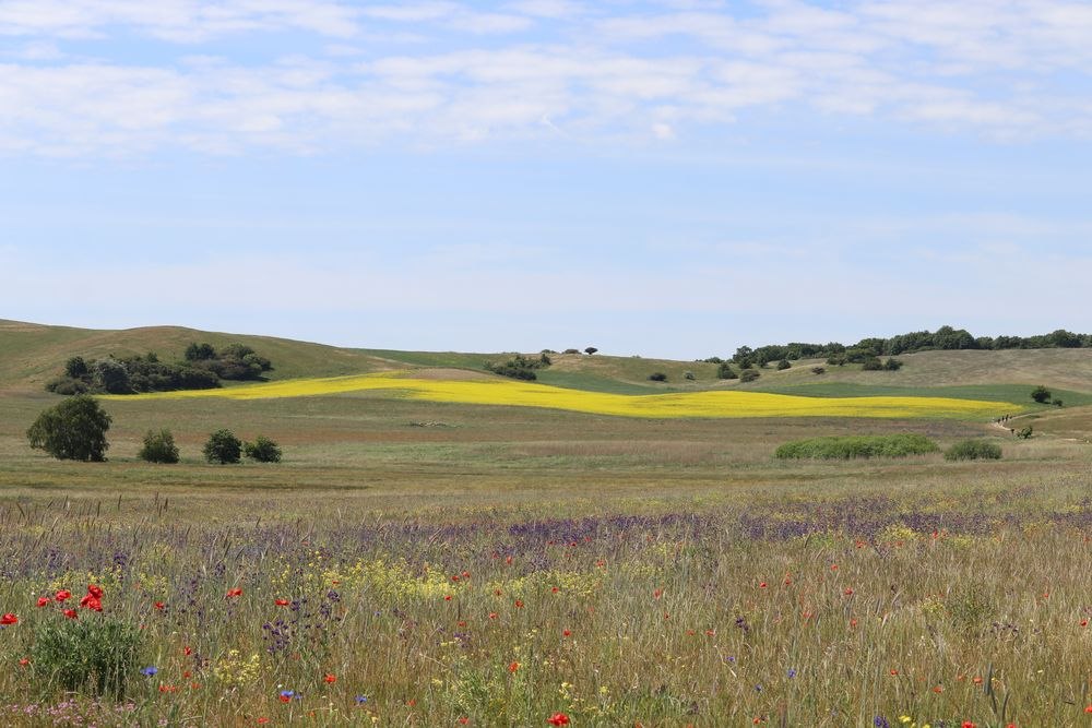 Zicker mountains, © Bildarchiv Biosphärenreservatsamt Südost-Rügen