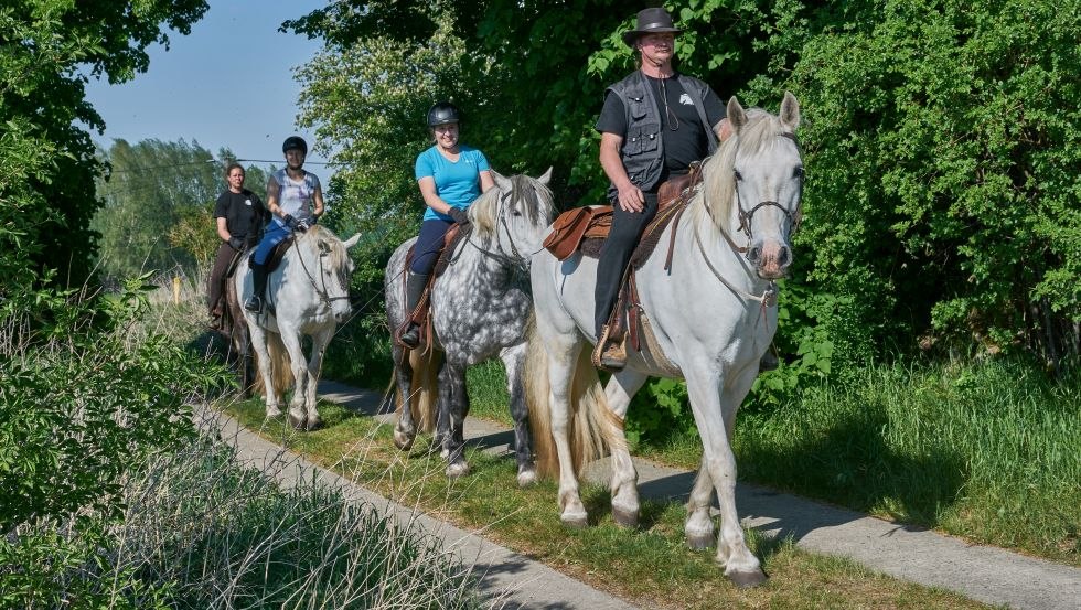 With the Herian Stud at a walk through the Müritz National Park, © Michael Schauenberg