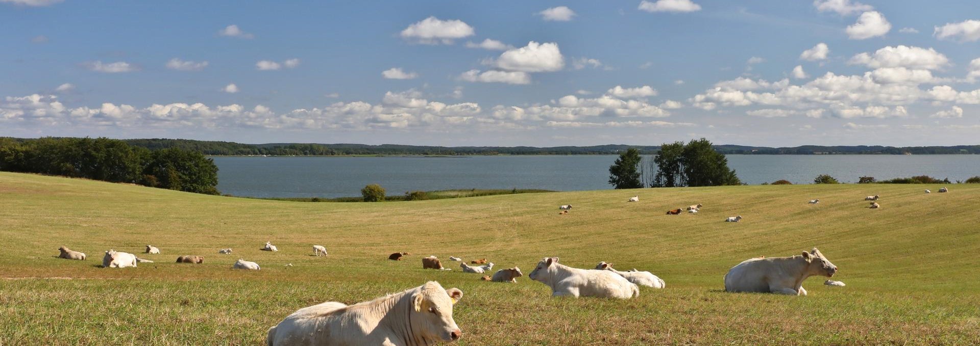 Loddiner Höft_1, © TMV/Gohlke