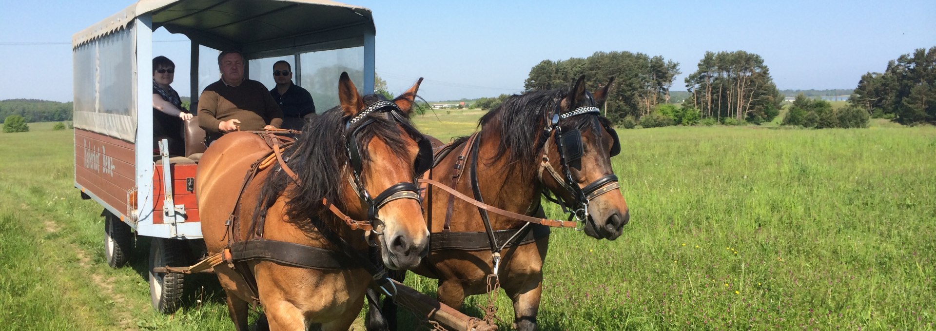 We offer carriage rides and riding lessons., © Bernd Frank