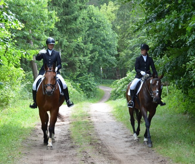 Horseback riding with Reiterhof Groß-Stubben means above all enjoying nature, © Reit- und Fahrverein Poseritz e.V./ Thomas Krimmling