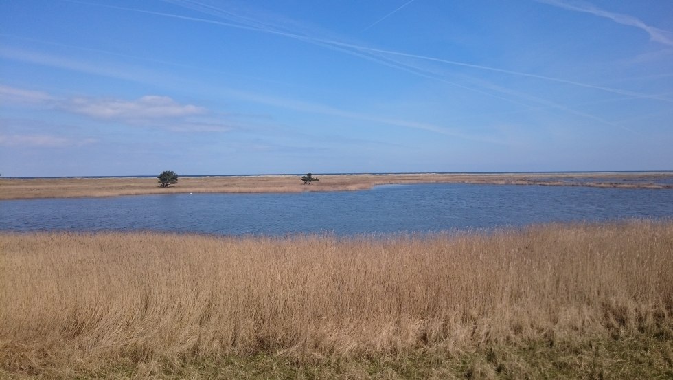 View from the observation tower at the Libbert lake, © UB