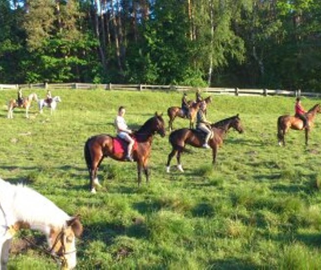 Enjoy a trail ride in a group with the MP Horse Stables Dobbertin club, © MP Horse Stables Dobbertin/ Maria Michaelis