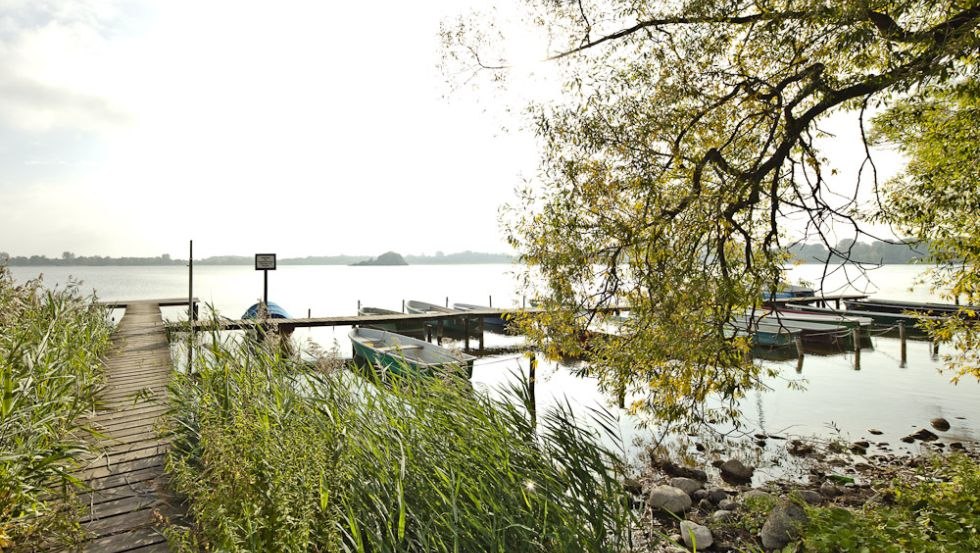 Indulge yourself in the restaurant and enjoy the view of the water, © Fischhaus am Schaalsee