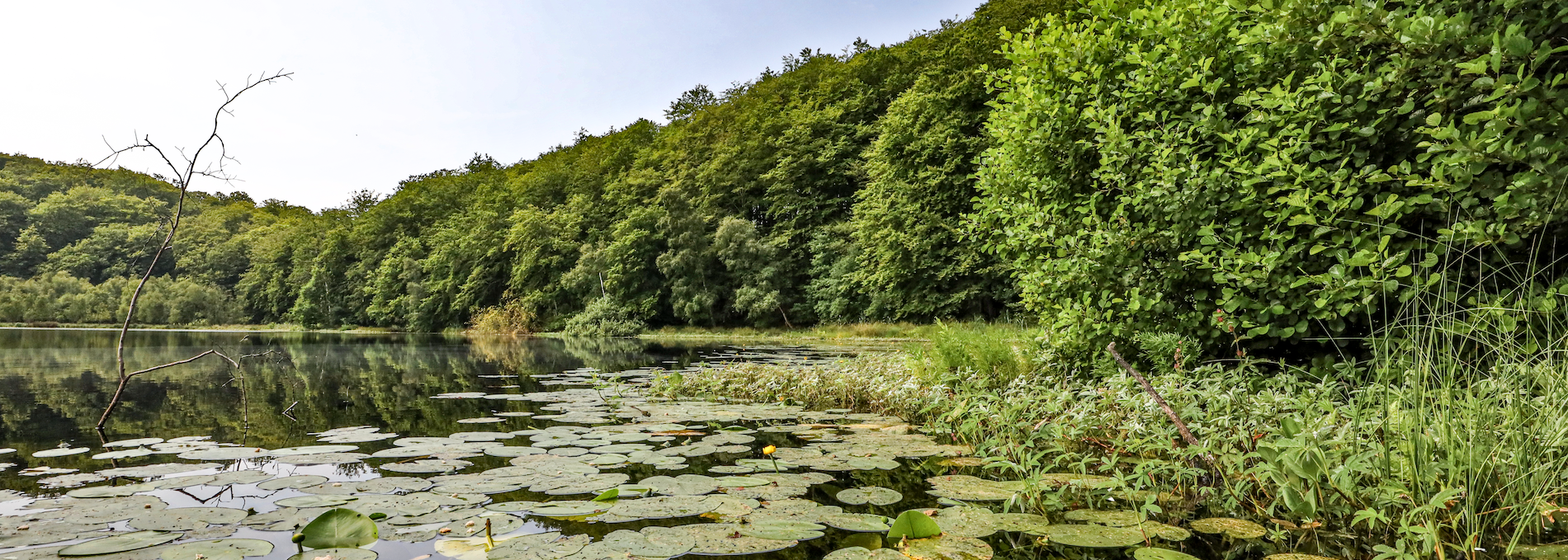 black-lake-in-the-granitz_3, © TMV/Gohlke