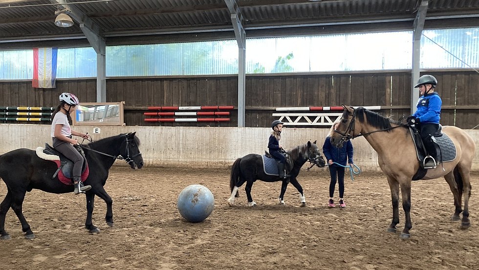 Horse soccer in the riding hall, © Alte Schule Barlin