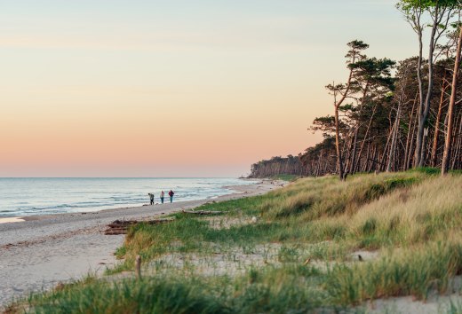 An idyllic walk on the western beach on the Darß: three people enjoy the sunset while the coast glows in warm colors and nature comes to rest.