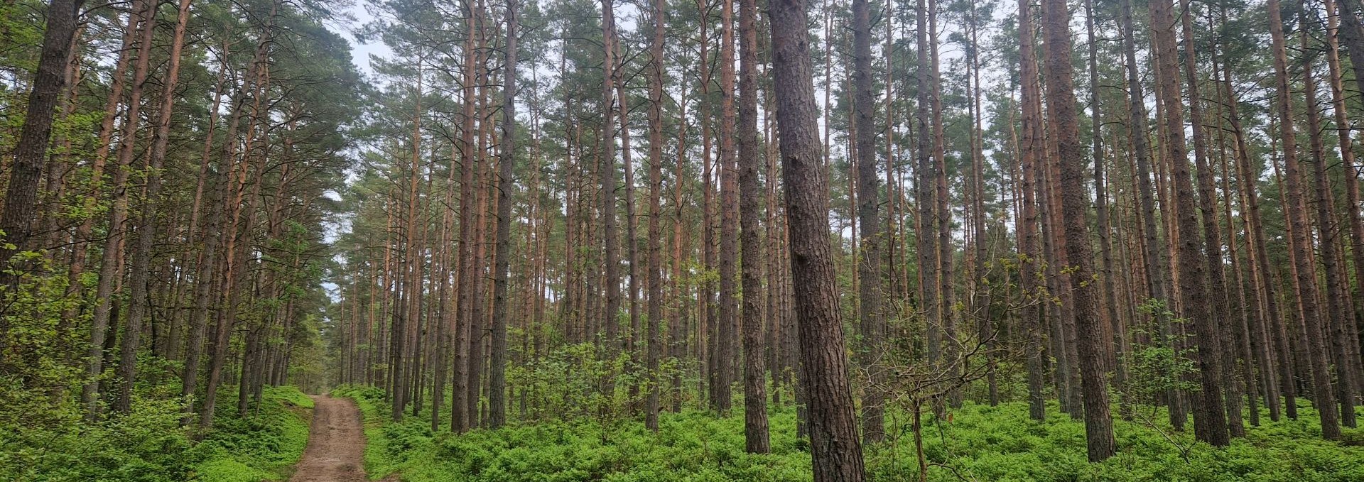 Hike Baaber Heide, © Kurverwaltung Goehren