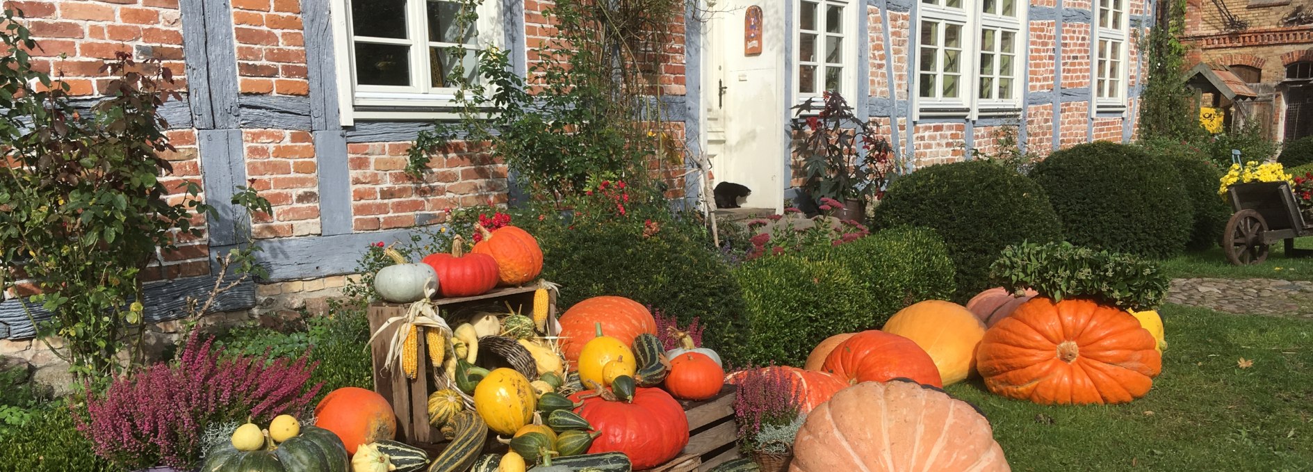 Manor Alt-Guthendorf Pumpkin Festival, © Gutshof Alt Guthendorf/Topp