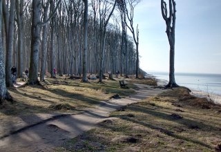 A cycling and hiking trail leads along the cliff through the "Ghost Forest"., © Fischer/TMV