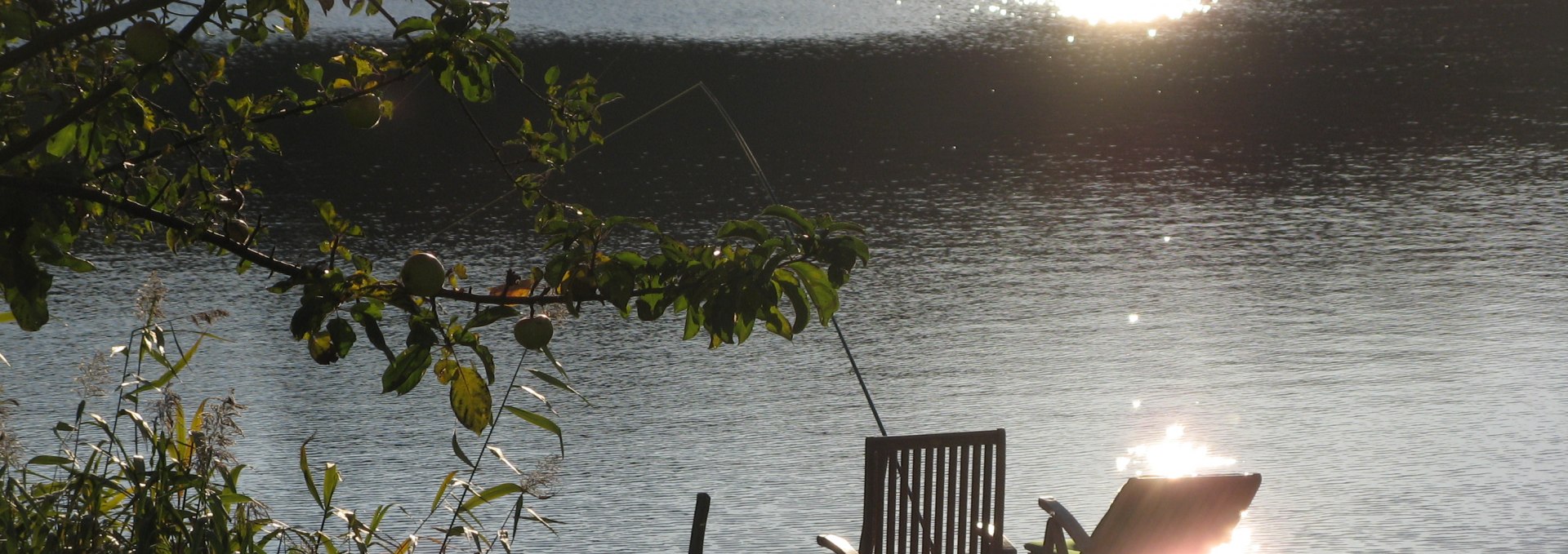 Footbridge from the reed house in the "Indian Summer" of Meck-Pomm, © Ewald Krombholz