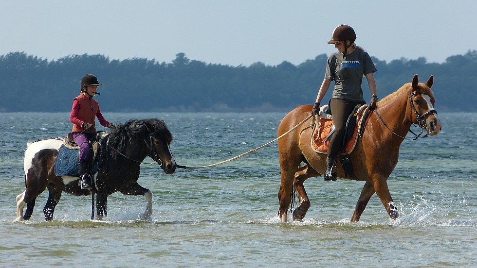 New paths can be explored on the back of horses, © TMO