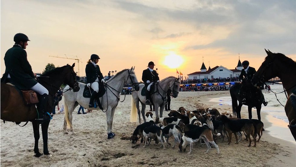 The Mecklenburg pack to the charity event Usedom Cross Country led by Mr. Rodenberg, © Reitanlage Rodenberg