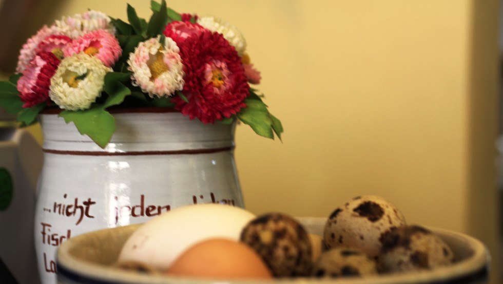 There are also chicken and quail eggs from the farm, © Hof-Laden Nr. 23 und Lese-Café