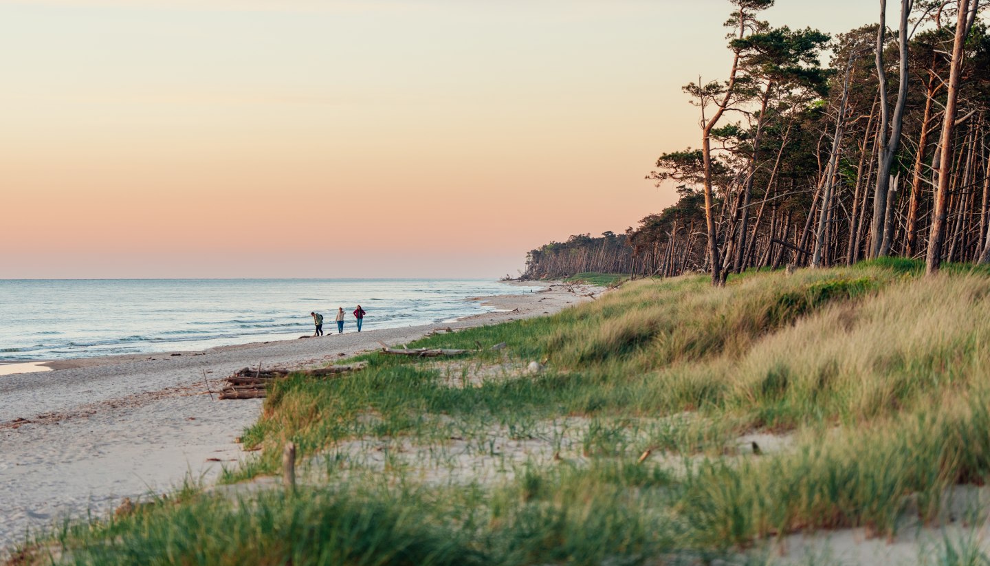 An idyllic walk on the western beach on the Darß: three people enjoy the sunset while the coast glows in warm colors and nature comes to rest.