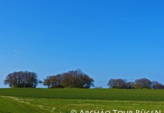 View of the burial mounds "Woorker Berge, © Archäo Tour Rügen