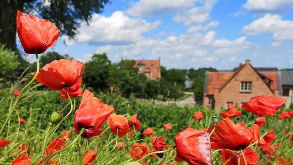 Manor village, © Schloss Ulrichshusen