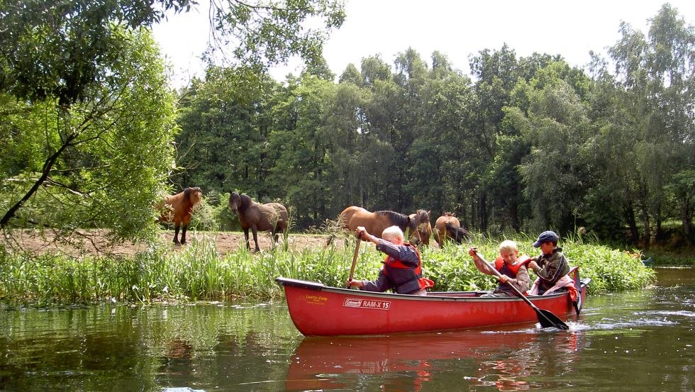 Canoeing for kids - such as here on a canoe tour along the Alte Elde, © Lewitzcamp-Garwitz/Gurtler