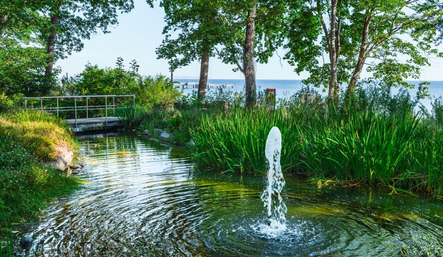 The Kneipp garden in the Baltic resort of Göhren is an oasis of tranquility., © TMV/Tiemann