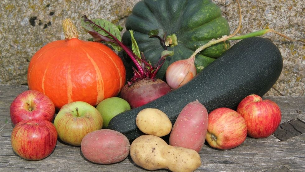 The fresh organic vegetables come directly from the field to the farm store., © Mirja Peitz