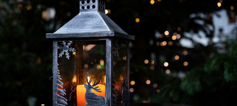 Advent in the park | Saturdays: Winter magic & family time, © Foto von Ceren auf Unsplash