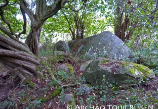 Hidden in the bushes are the remains of the large stone grave "Teetsbusch"., © Archäo Tour Rügen