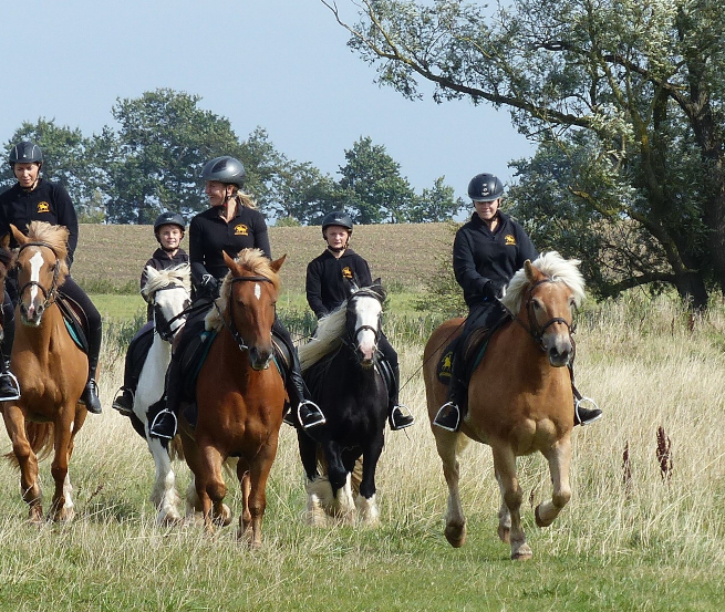 Horseback ride with the amber riders through the lagoon landscape of Barth, © Bernsteinreiter Barth