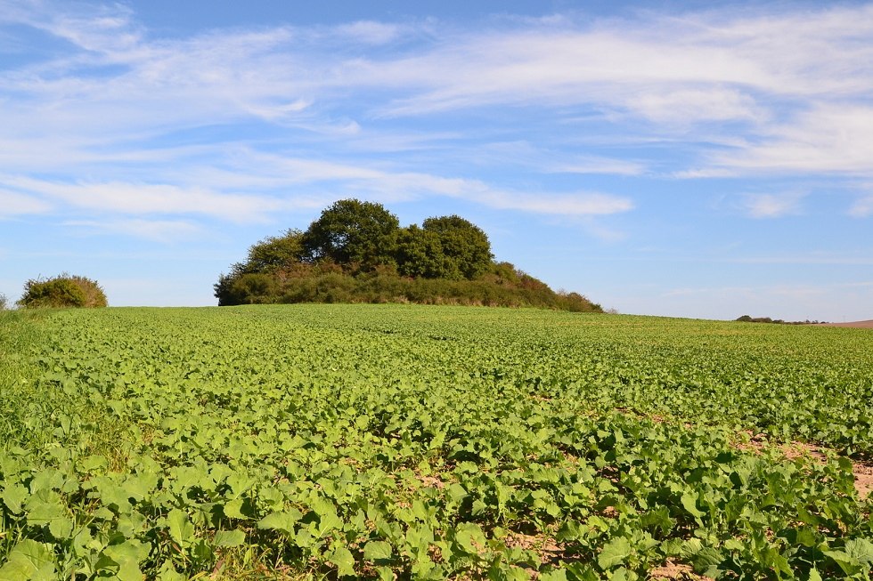 Dobberworth barrow near Sagard, © Tourismuszentrale Rügen