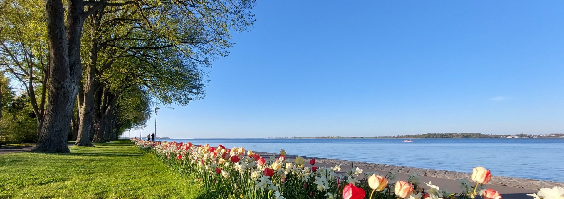 Sundpromenade in spring, © Kredl / TZ HST