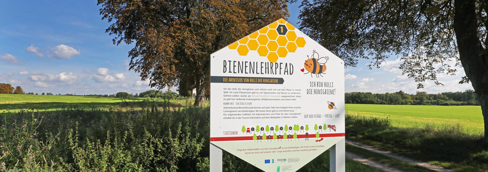 Bee nature trail in Land Fleesensee_1, © TMV/Gohlke