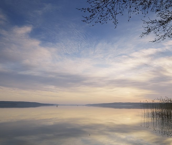 Nature breathes silence on the Tollensesee lake, © TMV/Grundner