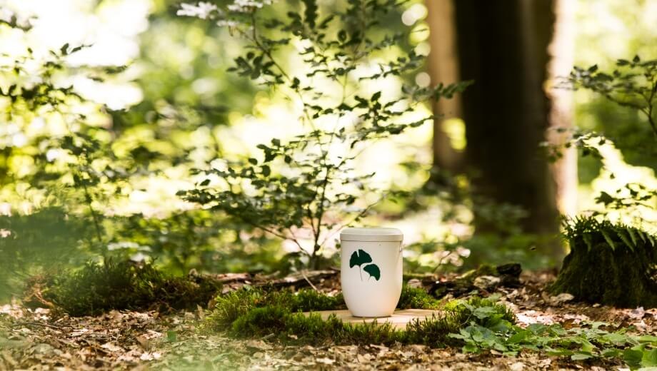 Biodegradable FriedWald urn