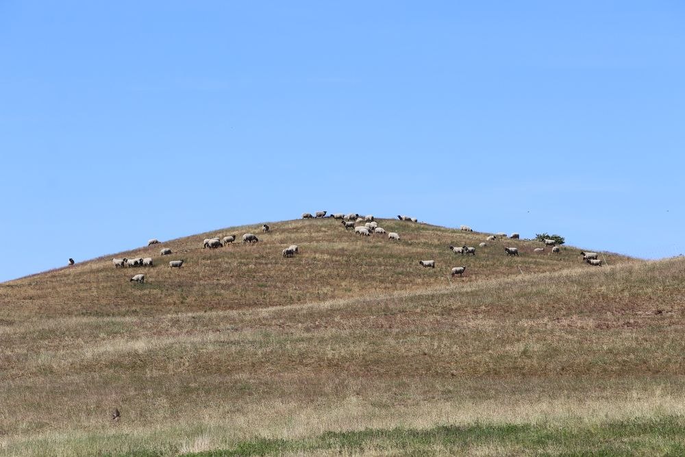 Zicker mountains, © Bildarchiv Biosphärenreservatsamt Südost-Rügen