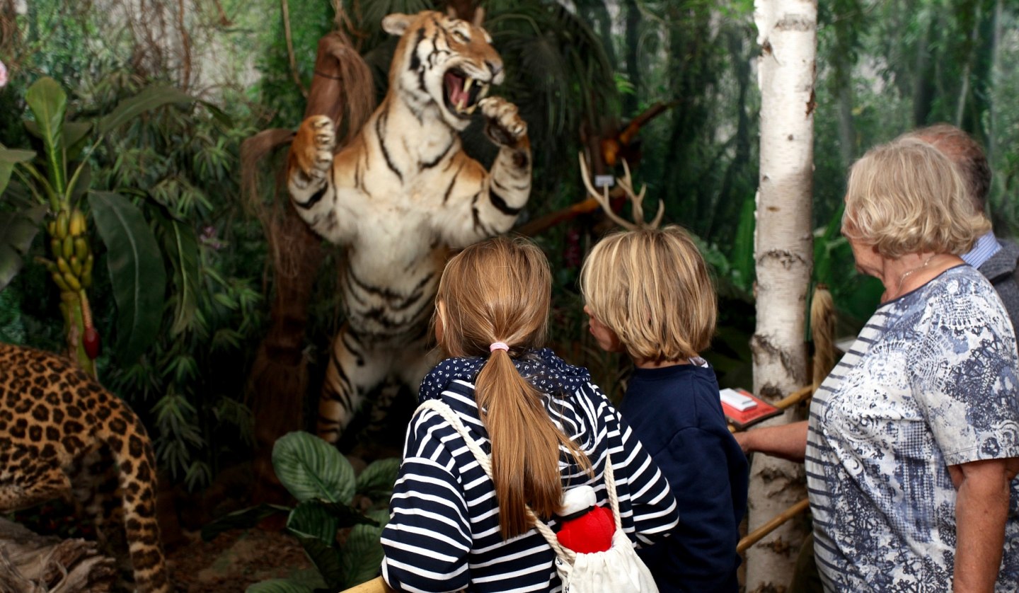 Wildlife Usedom tiger, © H. Böhm / trassenheide.de