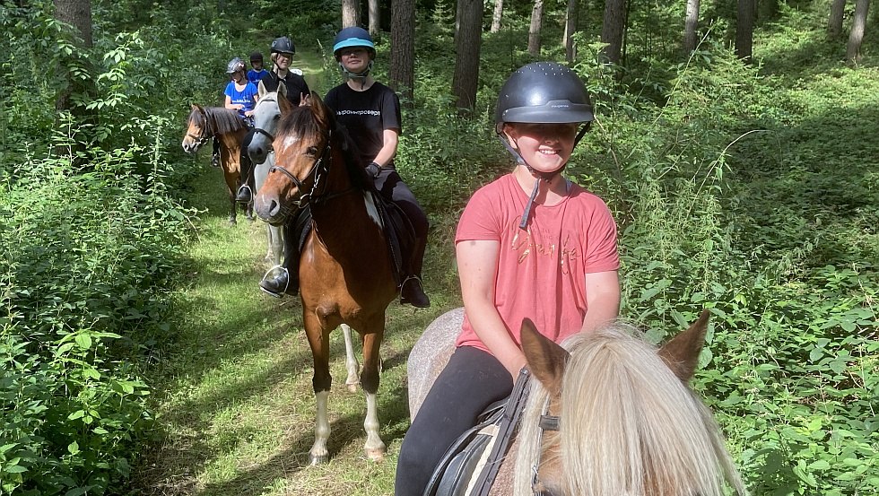 Rides on own bridle paths in the forest and fields, © Alte Schule Barlin