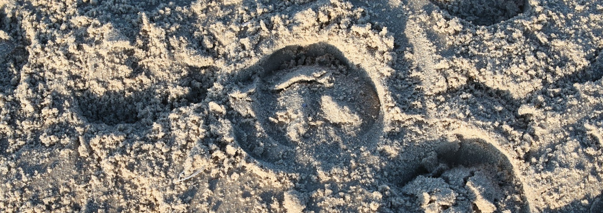 Horse riding on the beach, © TMV/ACP Pantel