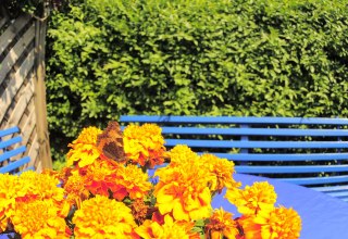 Sitting area in the garden in front of the vacation room, © Kleines Fischerhaus