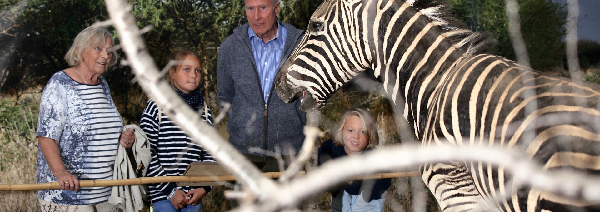 Visit to the Wildlife Usedom, © H. Böhm / trassenheide.de