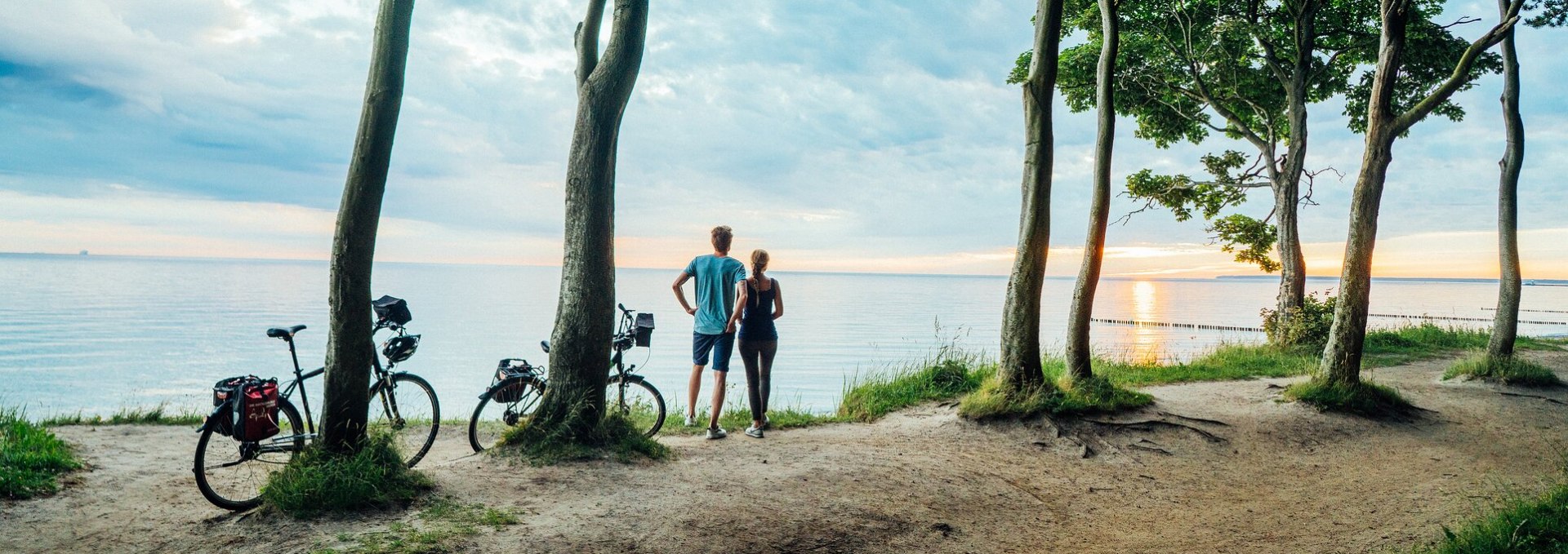 Nienhägener ghost forest is located directly on the Baltic Sea coast, © TMV/Gänsicke