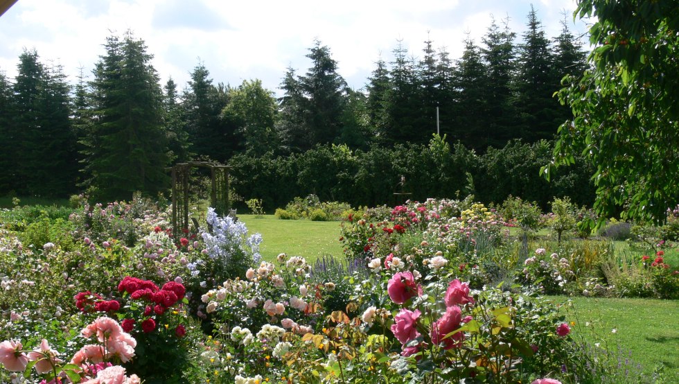 A view of the rose garden, © Rosentau-Keramik/Rehfeld