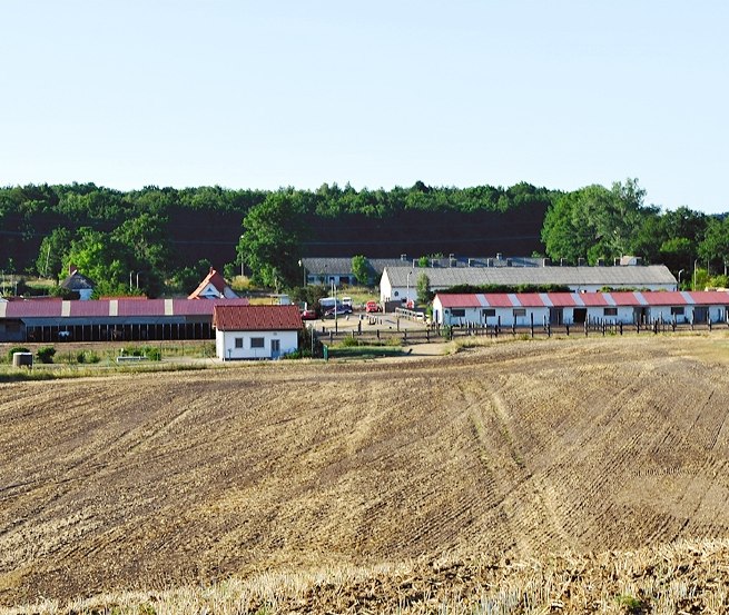 Centrally located on the Island of Rügen near the Baltic resorts: the Hof-Viervitz, © Hof-Viervitz/Hermann