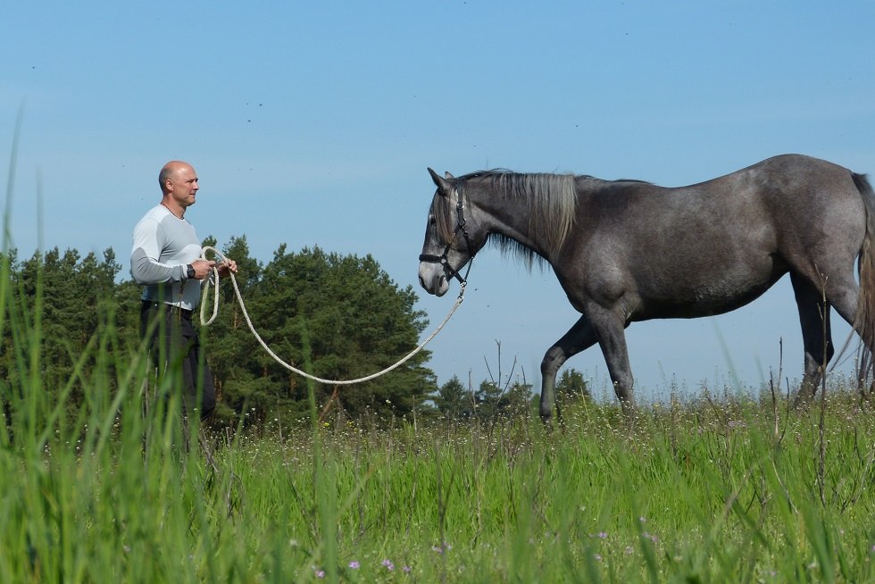 Communication with the horse in nature, © Claudia Reder