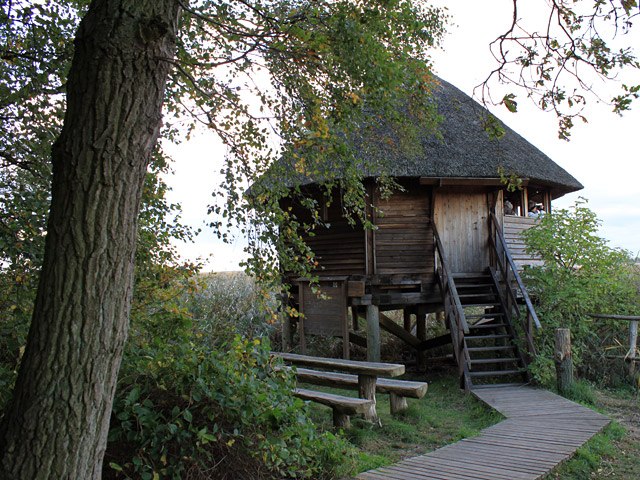 Crane observation point Bisdorf