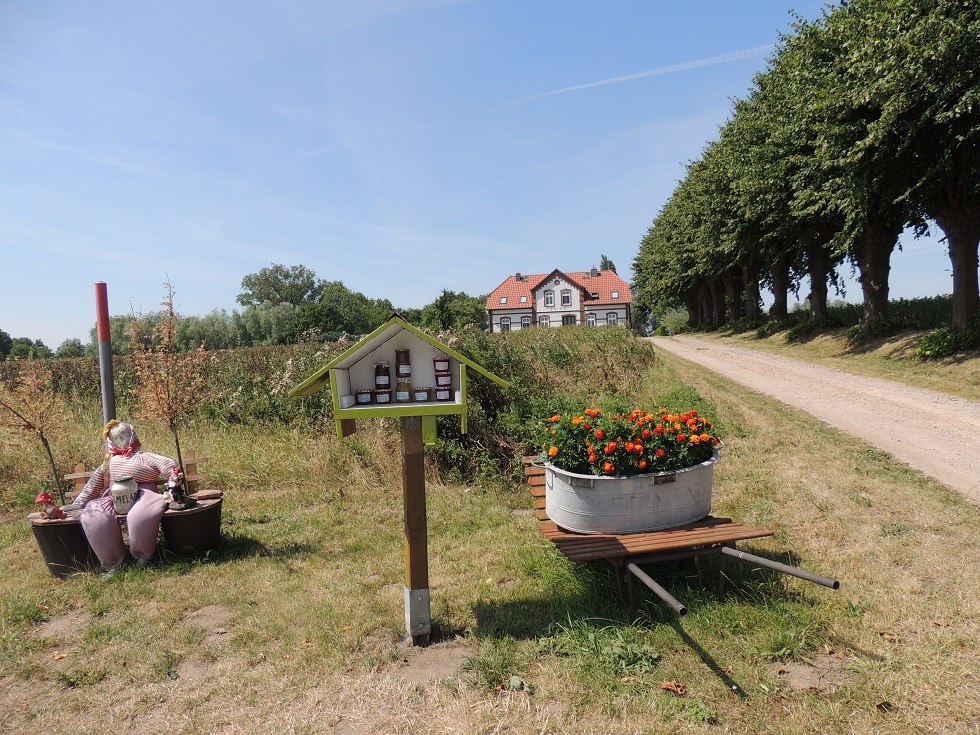 View of the access road to Einhusen, © Kurverwaltung Insel Poel