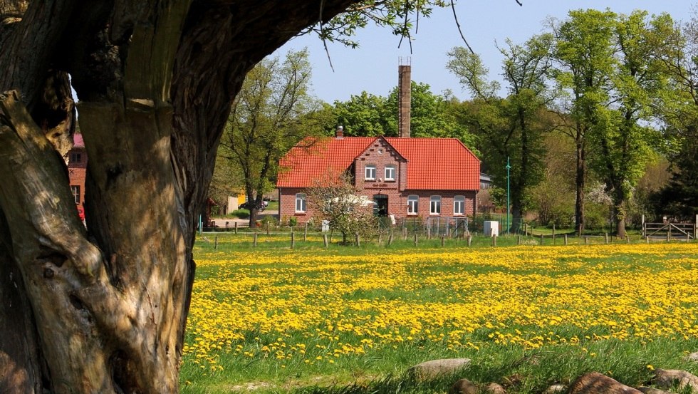 The Gallin estate is one of the largest organic farms in Germany, © Gut Gallin / Rasim